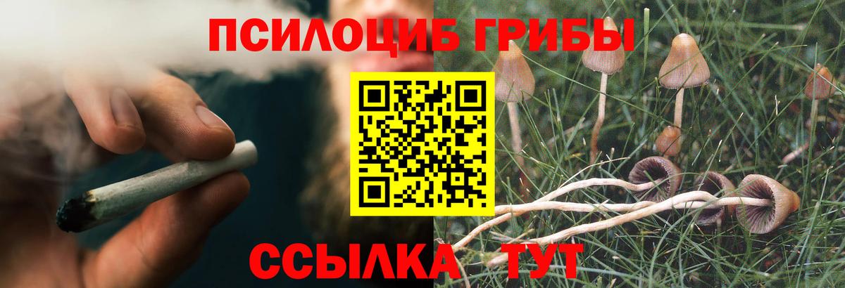 Псилоцибиновые грибы Magic Shrooms  Галлюциногенные грибы Psilocybine cubensis  Вход с VPN  Ульяновск 